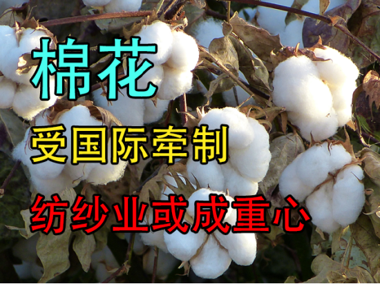 棉花受国际牵制，纺纱业或成重心
